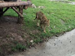 -西安秦岭野生动物园