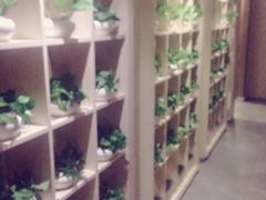 -正清和·推拿养生(黑石礁中心店)