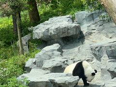 -宁波野生动物园