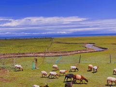 -青海湖国家重点风景名胜区