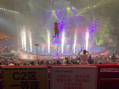 -广州长隆国际大马戏