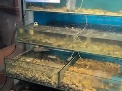 -仙螺岛海鲜自助餐厅(总店)