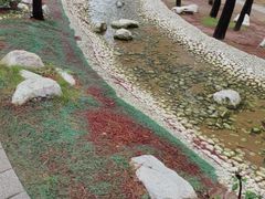 -林海公园
