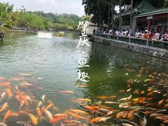 -星湖旅游景区七星岩