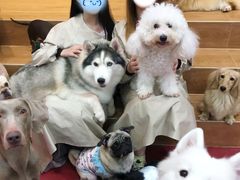 -和它·交个朋友·狗咖猫咖(爱琴海店)