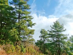 -苍山感通索道