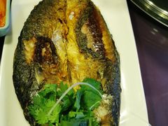-火肆高麗火盆