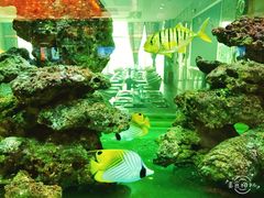 景观位-超级厨房概念餐厅(奥园广场店)