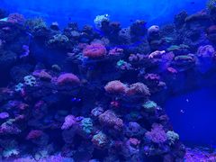 -石家庄极地海洋世界