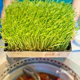 美食|交通大学对面洋房火锅，吃过了吗⁉️