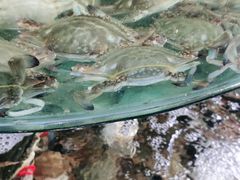 -蓝珊甄选海鲜自助·火锅大排档(近阿那亚店)