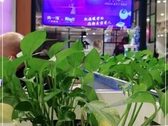 -尚一汤 广东炖汤(金桥国际店)