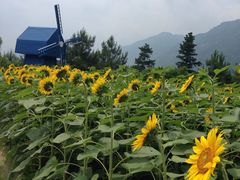 -广州市流溪河国家森林公园