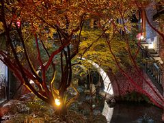 -鱼桥巷·美学川菜