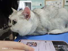 -瑞派申生动物医院·24H夜诊·国际动物医疗中心·骨外科(吴中路店)