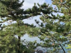 -南紀白浜 浜千鳥の湯 海舟