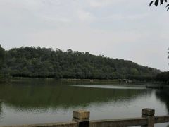 -李小龙乐园(顺德均安店)