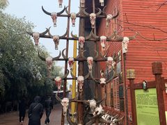 -呀路古热带植物园