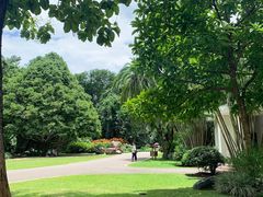 -中国科学院西双版纳热带植物园