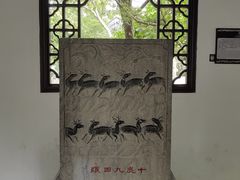 -上海醉白池公园