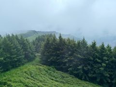 -苏木山森林公园