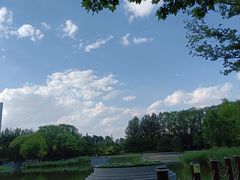 -大望京公园