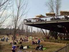 -白鹭湾湿地公园