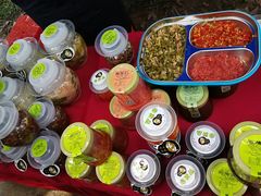 -南宁良凤江国家森林公园