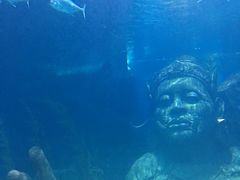 -暹罗海洋世界