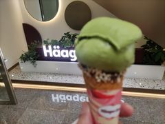 -哈根达斯(天河城店)
