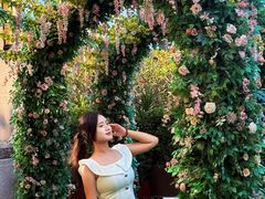 -汕头龙光喜来登酒店