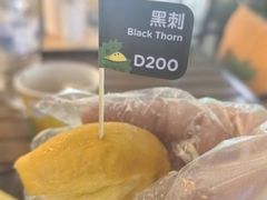 -榴莲BB 四季果园