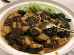 葱烧海参-鲁班张葱烧海参(马庄街店)