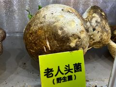 -菌海森林·非遗野生菌火锅(西山区滇池路摩根道店)