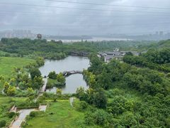 -张坝桂圆林公园