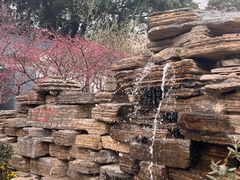 -无锡梅园公园