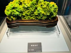-安徽省地质博物馆