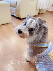 -Adore nail日式美甲美睫