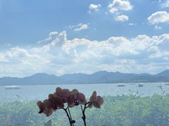 -湖畔居茶楼(湖滨店)