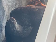 -石林冰雪海洋世界