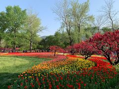 -国家植物园南园