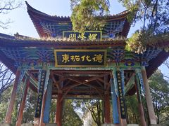 -昆明动物园