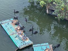 -广州长隆野生动物世界