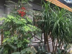 -森谷美食公园(杨行店)