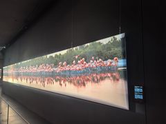 -罗红摄影艺术馆