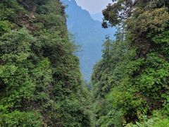 -峨眉山风景名胜区