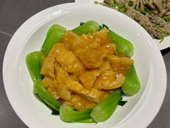 蟹黄扒鱼肚-燕春楼(海河华鼎店)