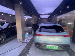 -车艺佳龙膜隐形车衣汽车贴膜(宝山丰宝店)