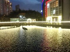 -苏州河梦清园环保主题公园