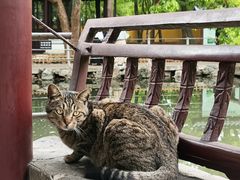 -西园戒幢律寺